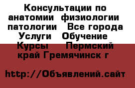 Консультации по анатомии, физиологии, патологии - Все города Услуги » Обучение. Курсы   . Пермский край,Гремячинск г.